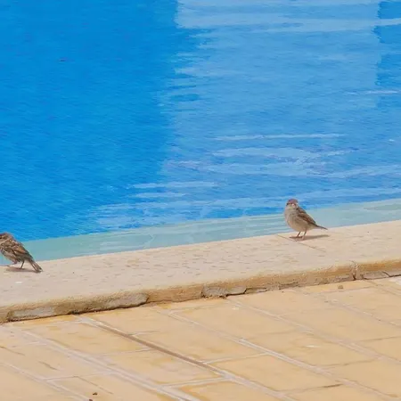 Eulalia With Pool And 5 Minutes From The דירה