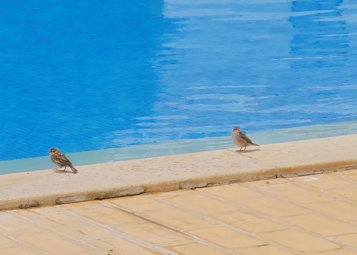 Eulalia With Pool And 5 Minutes From The 公寓