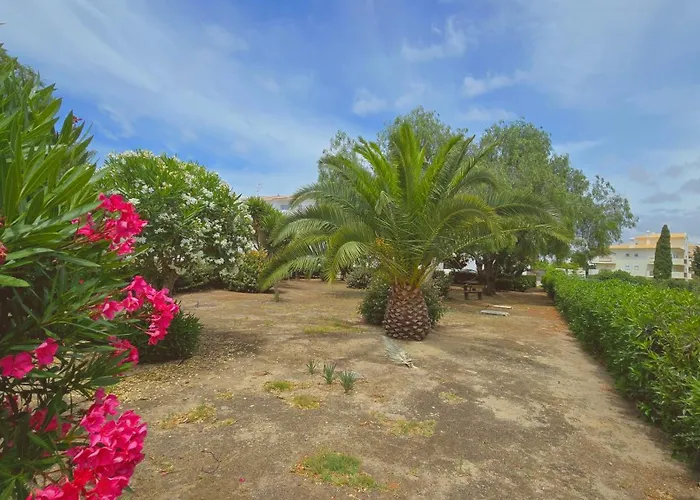 Eulalia With Pool And 5 Minutes From The 公寓 阿尔布费拉